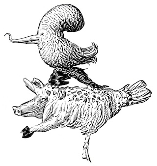 Flying pig pair illustration